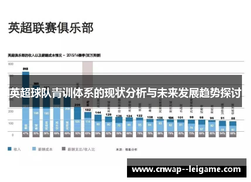 英超球队青训体系的现状分析与未来发展趋势探讨 英超球队青训体系的现状分析与未来发展趋势探讨