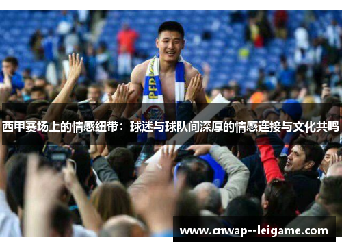 西甲赛场上的情感纽带：球迷与球队间深厚的情感连接与文化共鸣