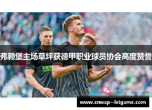 弗赖堡主场草坪获德甲职业球员协会高度赞誉