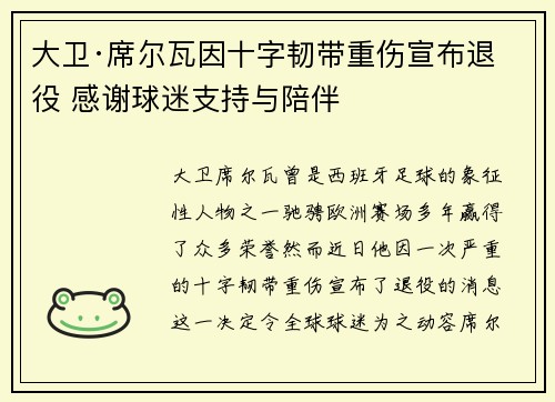 大卫·席尔瓦因十字韧带重伤宣布退役 感谢球迷支持与陪伴