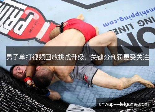 男子单打视频回放挑战升级，关键分判罚更受关注
